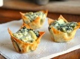 fillwonton cups